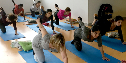 Stage trimestriel de Yoga intégral - Yoga Centre Nanterre