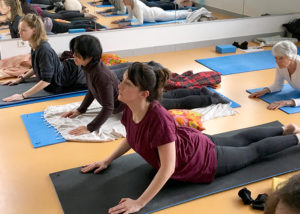 La posture du Cobra - Stage trimestriel de Yoga intégral - Yoga Centre Nanterre