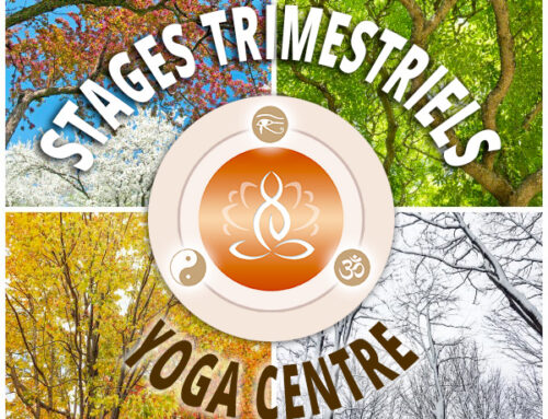 3 Stages trimestriels YOGA CENTRE saison 2024-2025