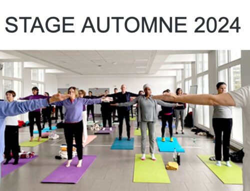 Stage trimestriel YOGA INTÉGRAL Automne 2024 – 30 novembre